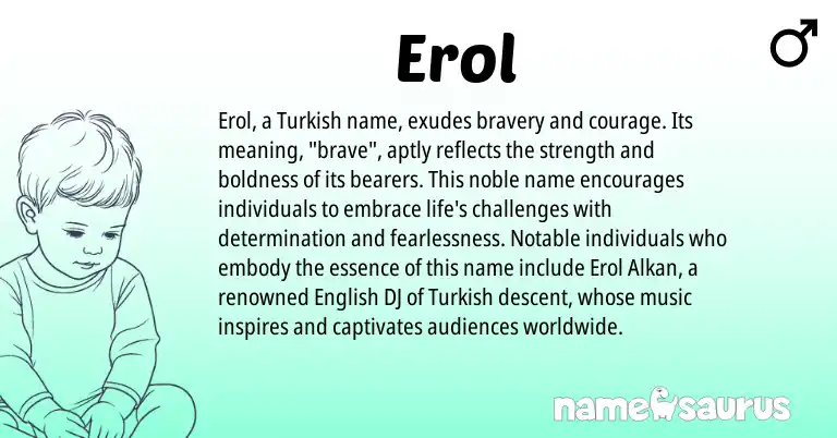 Infographic about Erol name meaning, Erol is a name from English, Turkish origin(s).