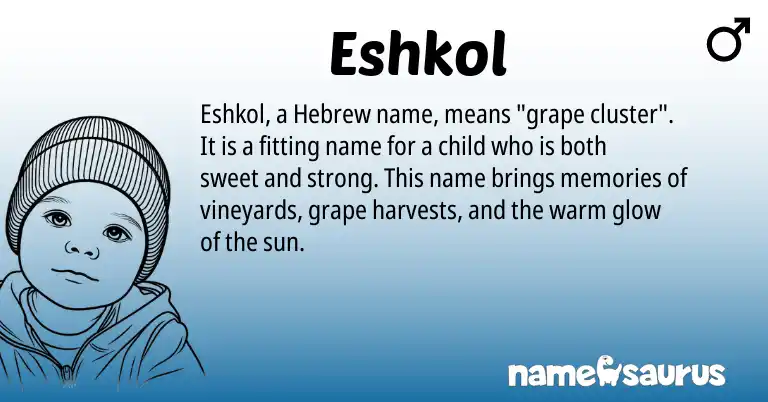 Infographic about Eshkol name meaning, Eshkol is a name from Hebrew origin(s).
