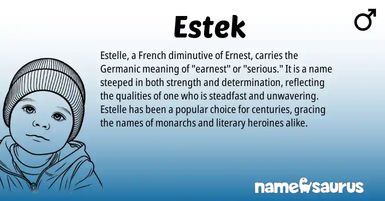Infographic about Estek name meaning, Estek is a name from French, Germanic origin(s).
