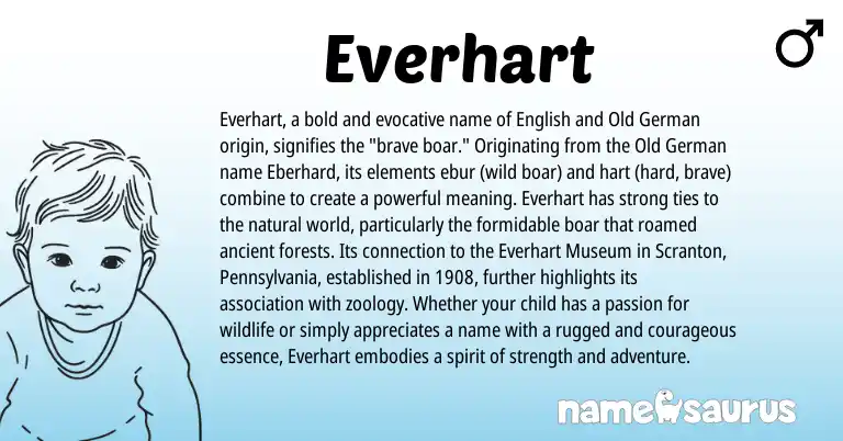 Infographic about Everhart name meaning, Everhart is a name from Old German, English origin(s).