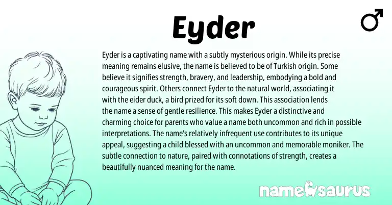 Infographic about Eyder name meaning, Eyder is a name from Turkish origin(s).