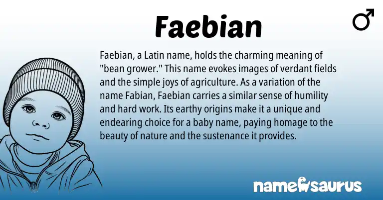 Infographic about Faebian name meaning, Faebian is a name from Latin origin(s).