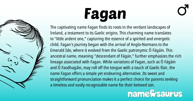 Infographic about Fagan name meaning, Fagan is a name from Ireland, Gaelic origin(s).