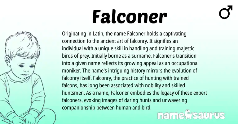 Infographic about Falconer name meaning, Falconer is a name from Latin origin(s).