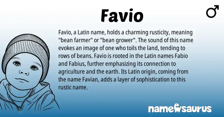Infographic about Favio name meaning, Favio is a name from Latin origin(s).