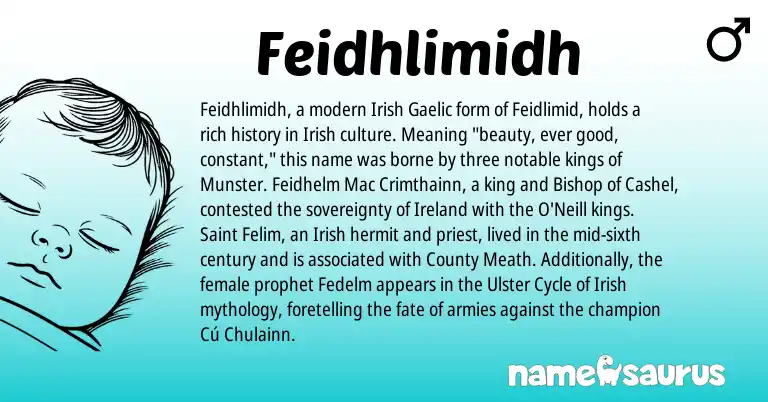 Infographic about Feidhlimidh name meaning, Feidhlimidh is a name from Irish, Gaelic, Ireland origin(s).