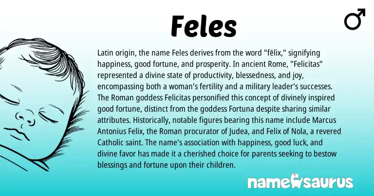 Infographic about Feles name meaning, Feles is a name from Roman, Latin origin(s).