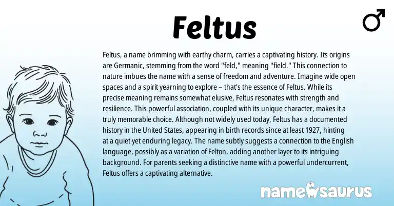 Infographic about Feltus name meaning, Feltus is a name from Germanic origin(s).