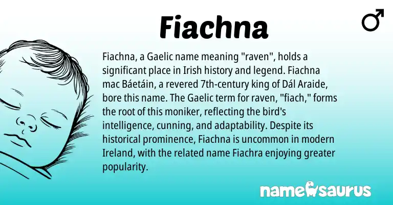Infographic about Fiachna name meaning, Fiachna is a name from Irish, Gaelic, Ireland origin(s).