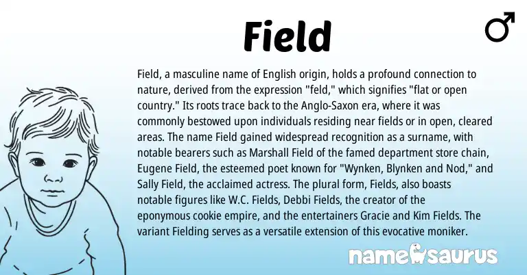 Infographic about Field name meaning, Field is a name from English, Anglo-Saxon origin(s).