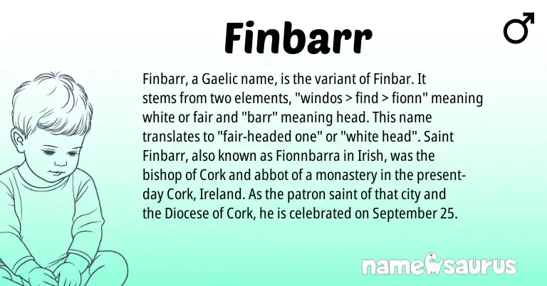 Infographic about Finbarr name meaning, Finbarr is a name from Irish, Gaelic, Ireland origin(s).