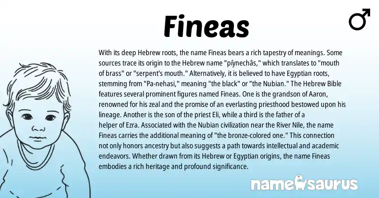 Infographic about Fineas name meaning, Fineas is a name from Egyptian, Hebrew origin(s).