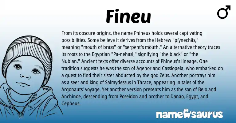 Infographic about Fineu name meaning, Fineu is a name from Egyptian, Hebrew origin(s).