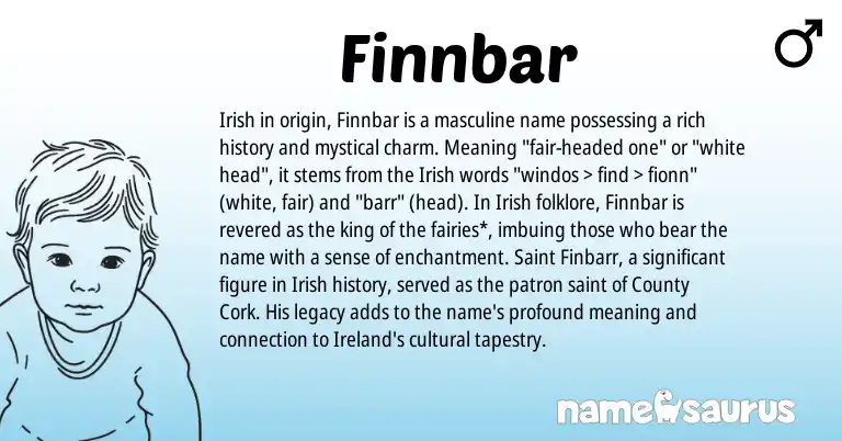 Infographic about Finnbar name meaning, Finnbar is a name from Irish, Ireland origin(s).