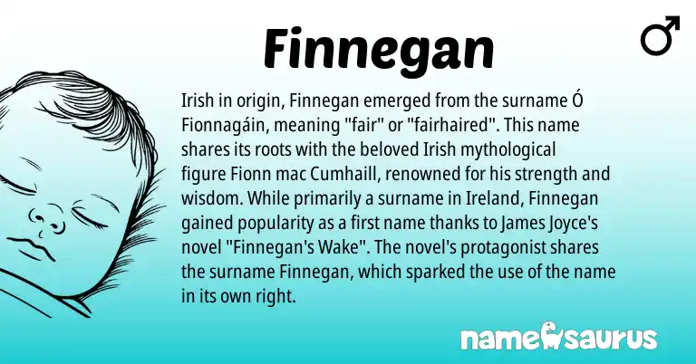 Infographic about Finnegan name meaning, Finnegan is a name from Irish, Ireland origin(s).