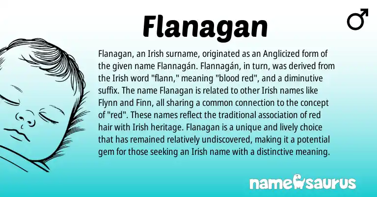 Infographic about Flanagan name meaning, Flanagan is a name from Irish origin(s).