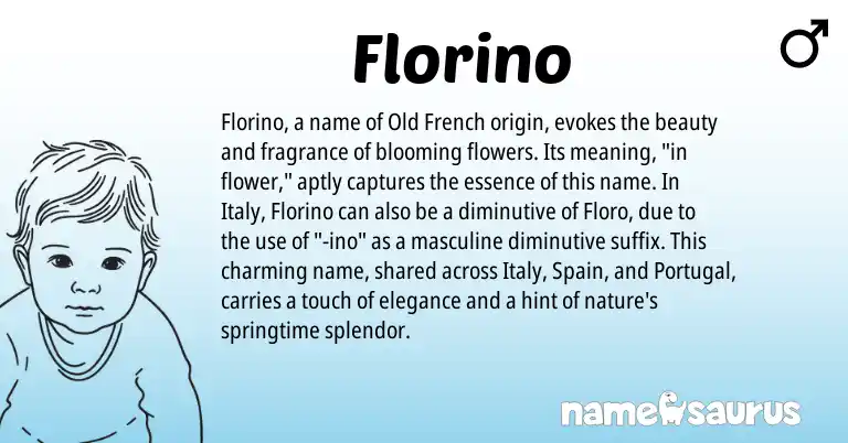 Infographic about Florino name meaning, Florino is a name from Spain, Portugal, Old French origin(s).