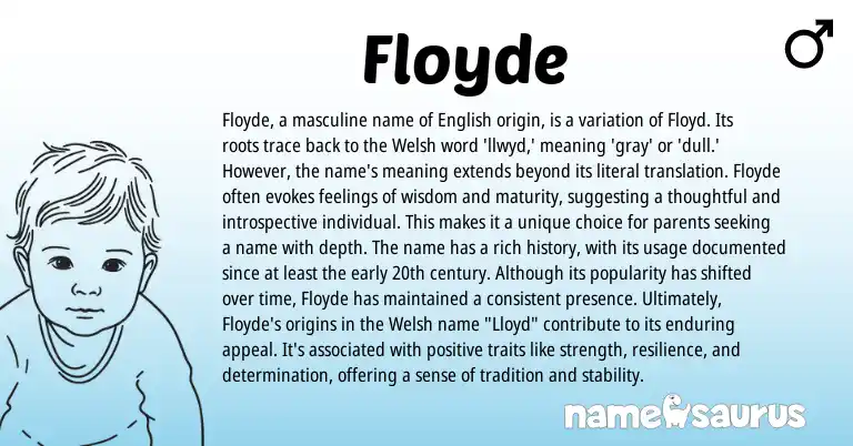 Infographic about Floyde name meaning, Floyde is a name from Welsh, English origin(s).