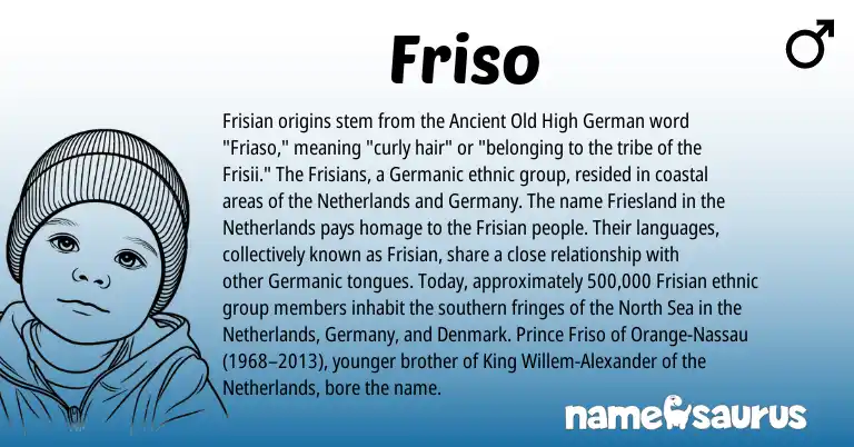 Infographic about Friso name meaning, Friso is a name from Frisian, Old High German, Netherlands, Germanic origin(s).