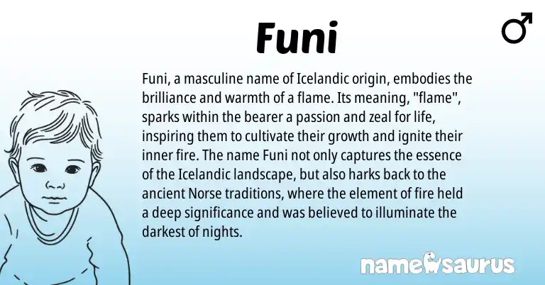 Infographic about Funi name meaning, Funi is a name from Icelandic, Norse origin(s).