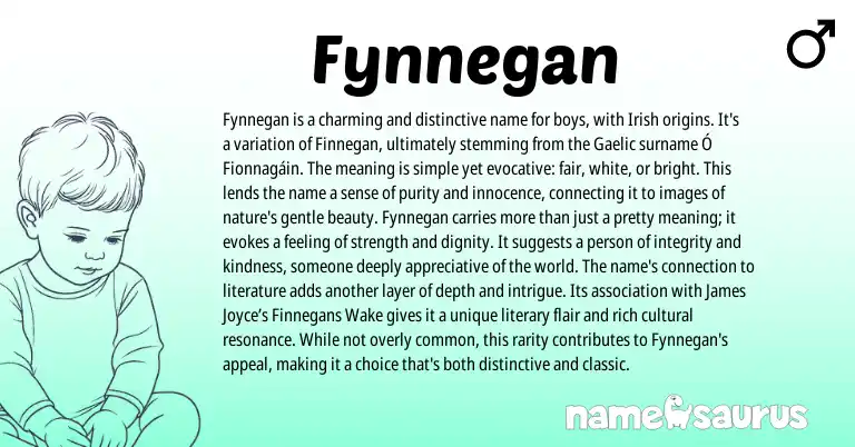 Infographic about Fynnegan name meaning, Fynnegan is a name from Irish origin(s).