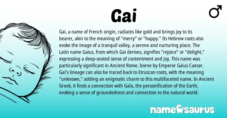 Infographic about Gai name meaning, Gai is a name from Ancient Greek, Ancient Rome, Etruscan, French, Latin, Hebrew origin(s).