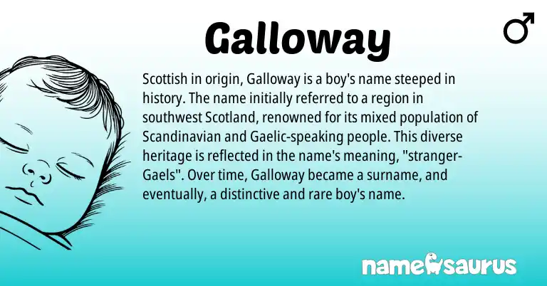 Infographic about Galloway name meaning, Galloway is a name from Scandinavian, Gaelic, Scottish origin(s).