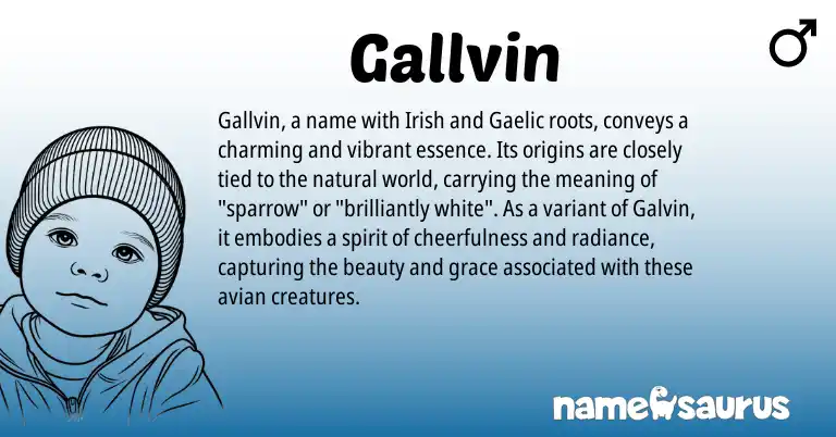 Infographic about Gallvin name meaning, Gallvin is a name from Irish, Gaelic origin(s).