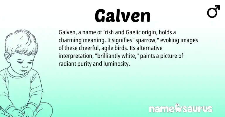 Infographic about Galven name meaning, Galven is a name from Irish, Gaelic origin(s).