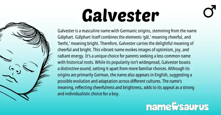 Infographic about Galvester name meaning, Galvester is a name from Germanic, English origin(s).