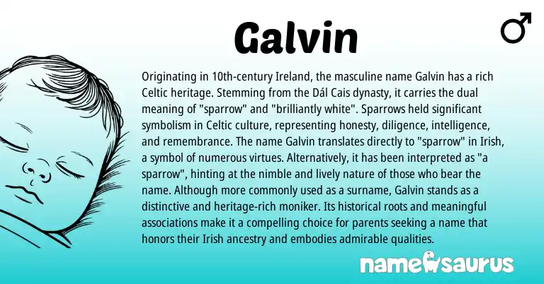 Infographic about Galvin name meaning, Galvin is a name from Irish, Ireland, Celtic origin(s).