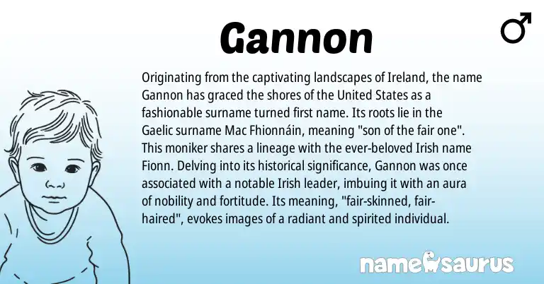 Infographic about Gannon name meaning, Gannon is a name from Irish, Ireland, Gaelic, United States origin(s).