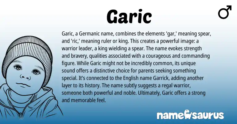Infographic about Garic name meaning, Garic is a name from Germanic origin(s).