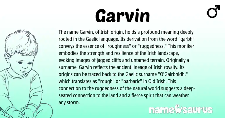 Infographic about Garvin name meaning, Garvin is a name from Irish, Gaelic, Old Irish origin(s).