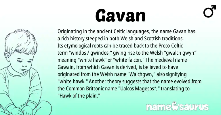 Infographic about Gavan name meaning, Gavan is a name from Welsh, Celtic, Scottish, Proto-Celtic origin(s).