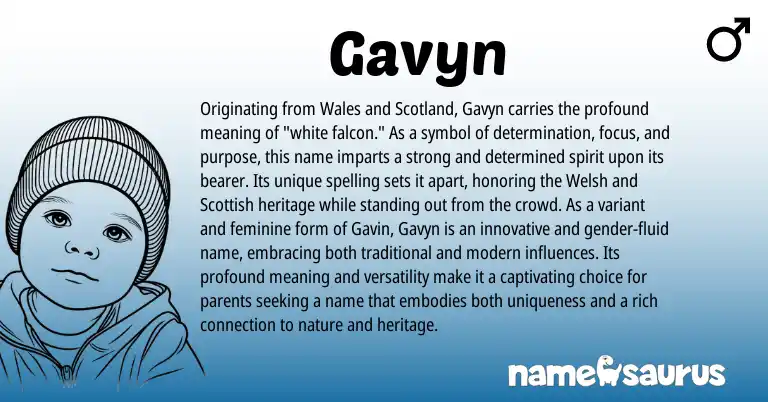 Infographic about Gavyn name meaning, Gavyn is a name from Welsh, Scottish origin(s).
