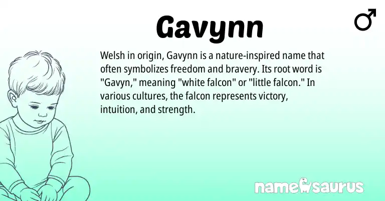 Infographic about Gavynn name meaning, Gavynn is a name from Welsh origin(s).