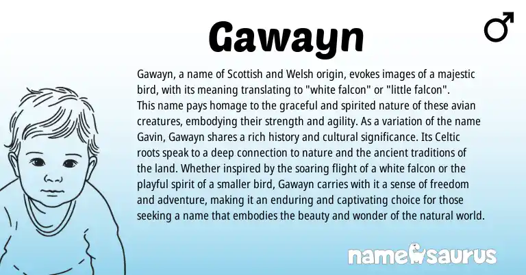 Infographic about Gawayn name meaning, Gawayn is a name from Welsh, Scottish, Celtic origin(s).