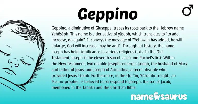 Infographic about Geppino name meaning, Geppino is a name from Hebrew origin(s).