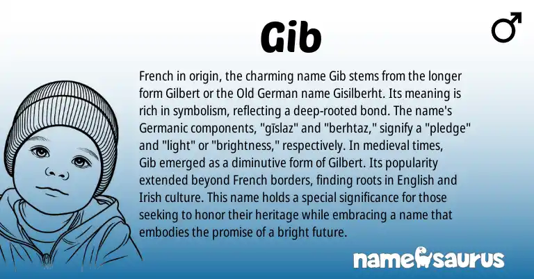 Infographic about Gib name meaning, Gib is a name from Irish, English, French, Germanic, Old German origin(s).
