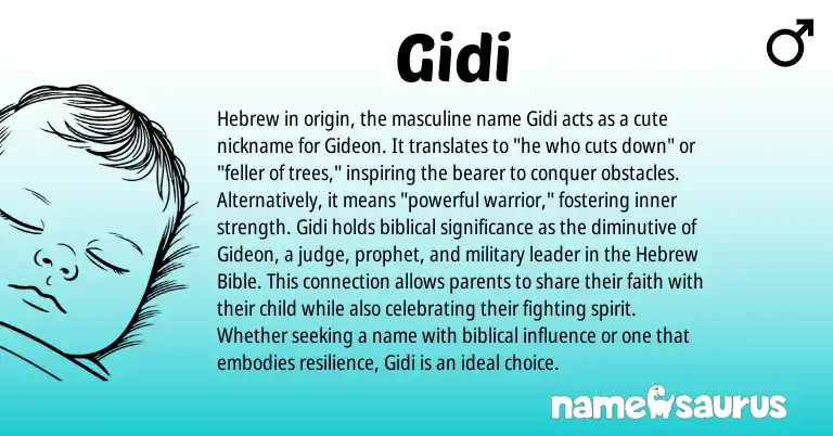Infographic about Gidi name meaning, Gidi is a name from Hebrew origin(s).