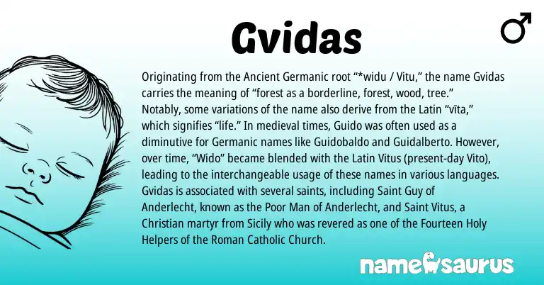 Infographic about Gvidas name meaning, Gvidas is a name from Roman, Germanic, Latin, Ancient Germanic origin(s).