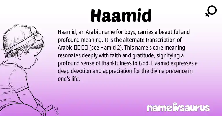 Infographic about Haamid name meaning, Haamid is a name from Arabic origin(s).