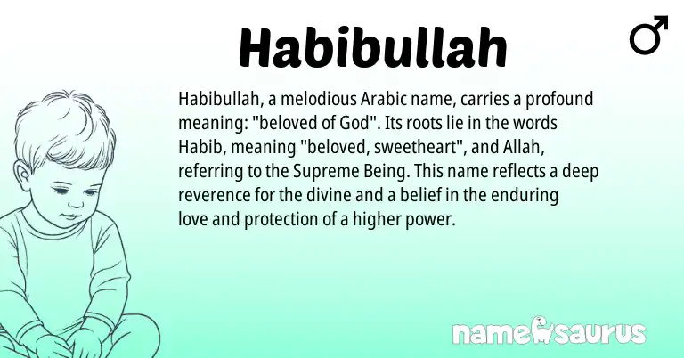 Infographic about Habibullah name meaning, Habibullah is a name from Arabic origin(s).
