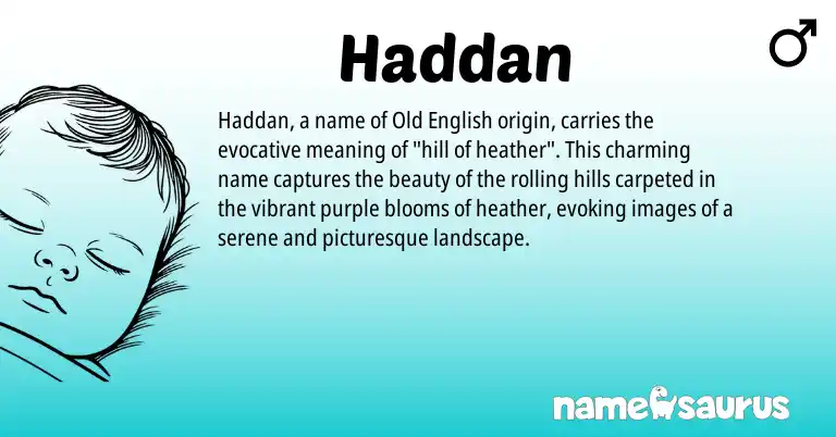 Infographic about Haddan name meaning, Haddan is a name from Old English origin(s).