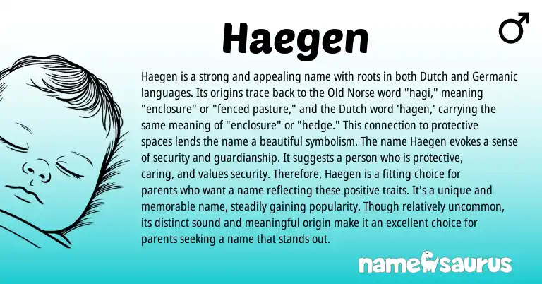 Infographic about Haegen name meaning, Haegen is a name from Dutch origin(s).