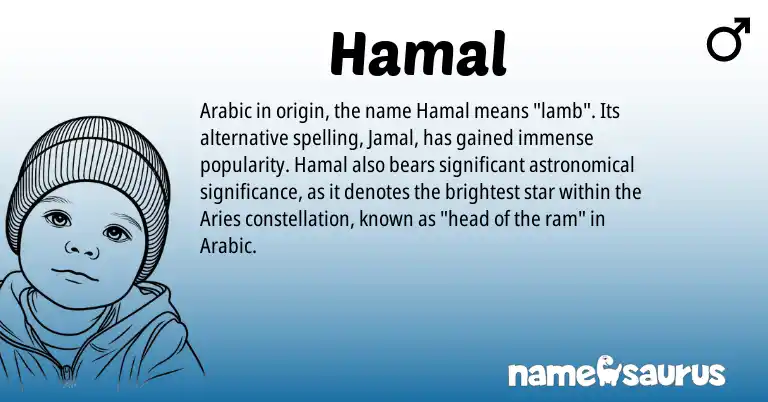 Infographic about Hamal name meaning, Hamal is a name from Arabic origin(s).