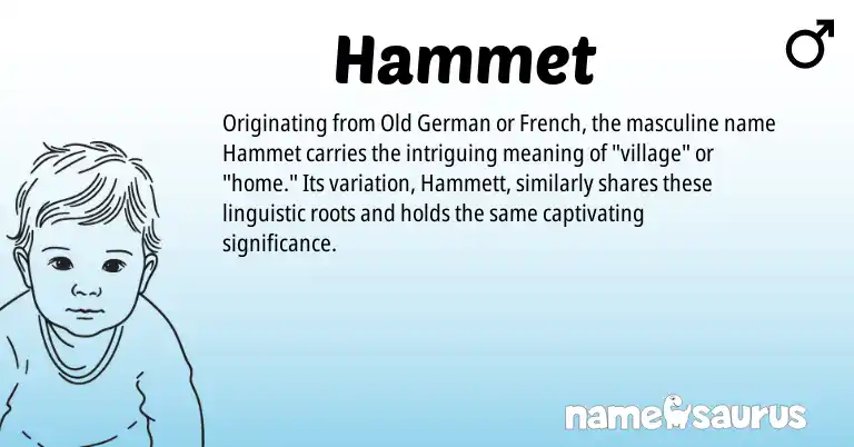 Infographic about Hammet name meaning, Hammet is a name from Old German, French origin(s).