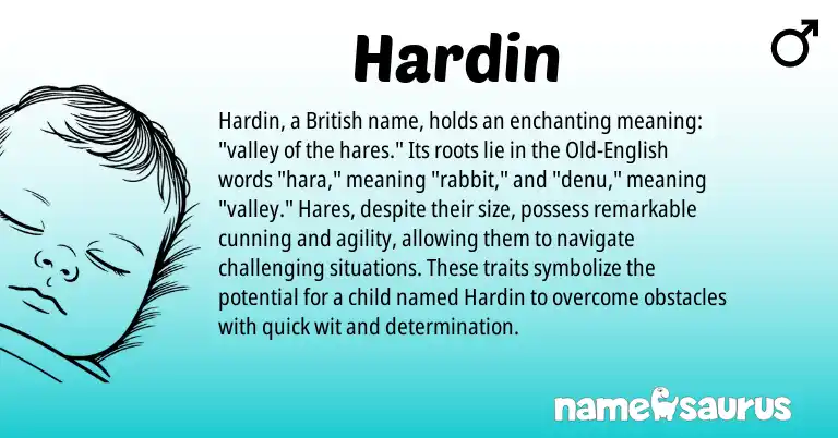 Infographic about Hardin name meaning, Hardin is a name from English, British origin(s).