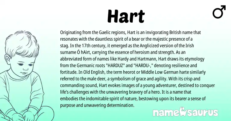 Infographic about Hart name meaning, Hart is a name from Irish, Low German, British, Gaelic, Germanic, Old English origin(s).